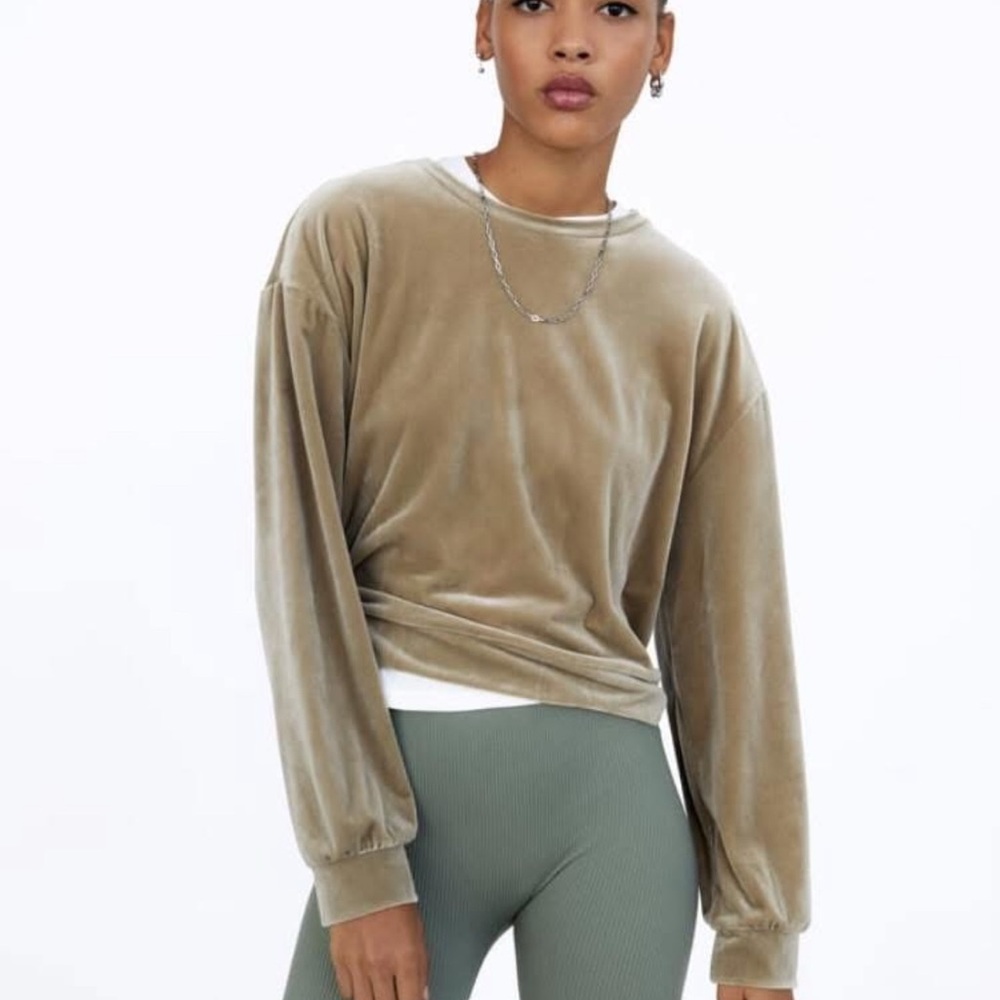 NWT Size M Velvet Tan Women's Top